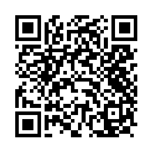 Link zu deiner Spendenaktion QRCode - Fundraising