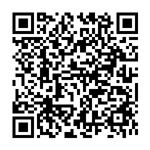 Link zu deiner Spendenaktion QRCode - Fundraising