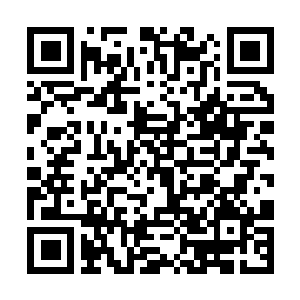 Link zu deiner Spendenaktion QRCode - Fundraising