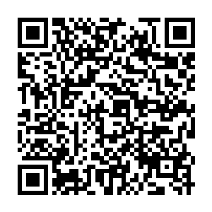 Link zu deiner Spendenaktion QRCode - Fundraising
