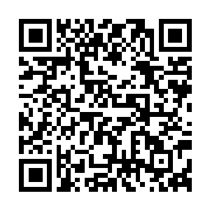 Link zu deiner Spendenaktion QRCode - Fundraising