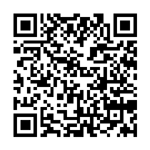 Link zu deiner Spendenaktion QRCode - Fundraising
