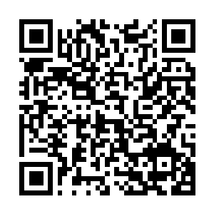 Link zu deiner Spendenaktion QRCode - Fundraising