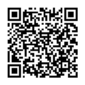 Link zu deiner Spendenaktion QRCode - Fundraising