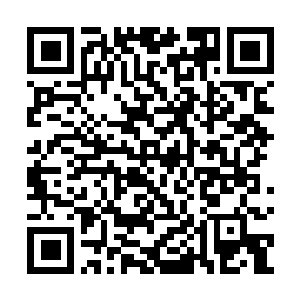 Link zu deiner Spendenaktion QRCode - Fundraising