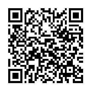 Link zu deiner Spendenaktion QRCode - Fundraising