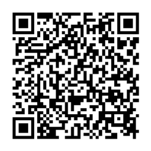 Link zu deiner Spendenaktion QRCode - Fundraising