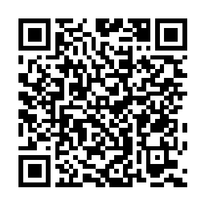 Link zu deiner Spendenaktion QRCode - Fundraising