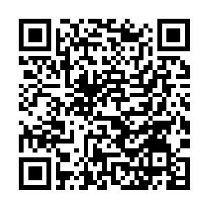 Link zu deiner Spendenaktion QRCode - Fundraising