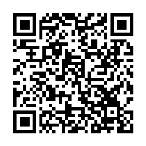 Link zu deiner Spendenaktion QRCode - Fundraising