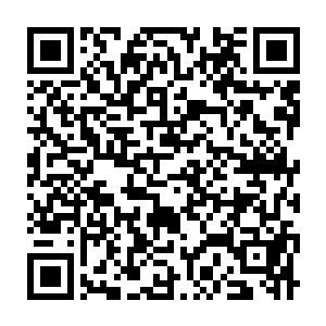 Link zu deiner Spendenaktion QRCode - Fundraising