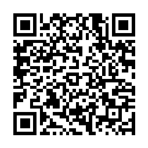 Link zu deiner Spendenaktion QRCode - Fundraising