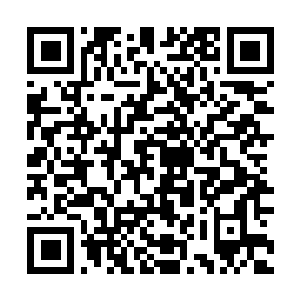 Link zu deiner Spendenaktion QRCode - Fundraising