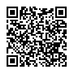 Link zu deiner Spendenaktion QRCode - Fundraising
