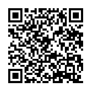 Link zu deiner Spendenaktion QRCode - Fundraising