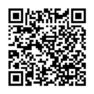 Link zu deiner Spendenaktion QRCode - Fundraising