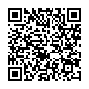 Link zu deiner Spendenaktion QRCode - Fundraising