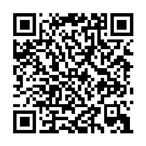 Link zu deiner Spendenaktion QRCode - Fundraising