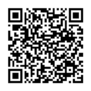 Link zu deiner Spendenaktion QRCode - Fundraising