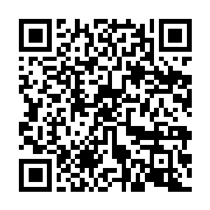 Link zu deiner Spendenaktion QRCode - Fundraising