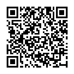Link zu deiner Spendenaktion QRCode - Fundraising