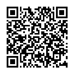 Link zu deiner Spendenaktion QRCode - Fundraising