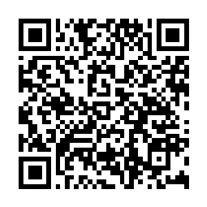 Link zu deiner Spendenaktion QRCode - Fundraising