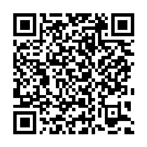 Link zu deiner Spendenaktion QRCode - Fundraising