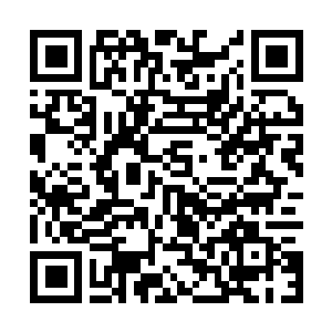 Link zu deiner Spendenaktion QRCode - Fundraising