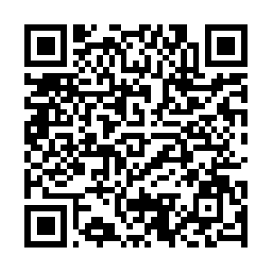 Link zu deiner Spendenaktion QRCode - Fundraising