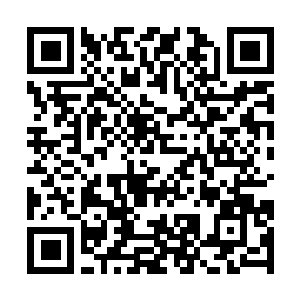 Link zu deiner Spendenaktion QRCode - Fundraising