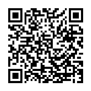 Link zu deiner Spendenaktion QRCode - Fundraising