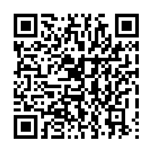 Link zu deiner Spendenaktion QRCode - Fundraising