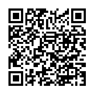 Link zu deiner Spendenaktion QRCode - Fundraising