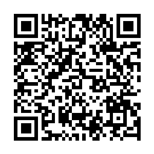 Link zu deiner Spendenaktion QRCode - Fundraising