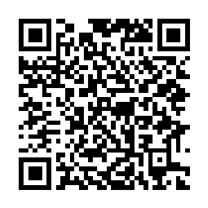 Link zu deiner Spendenaktion QRCode - Fundraising