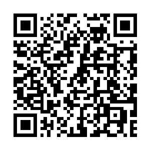 Link zu deiner Spendenaktion QRCode - Fundraising