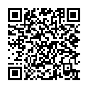 Link zu deiner Spendenaktion QRCode - Fundraising