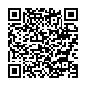 Link zu deiner Spendenaktion QRCode - Fundraising