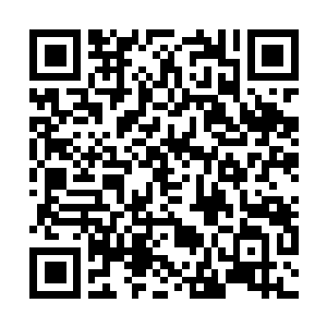 Link zu deiner Spendenaktion QRCode - Fundraising
