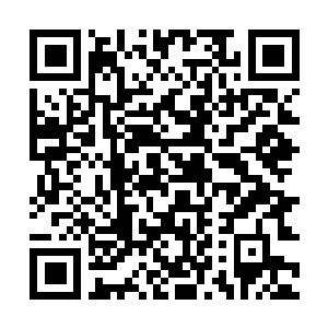 Link zu deiner Spendenaktion QRCode - Fundraising
