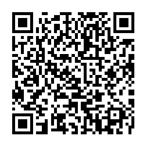 Link zu deiner Spendenaktion QRCode - Fundraising