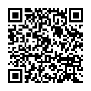 Link zu deiner Spendenaktion QRCode - Fundraising