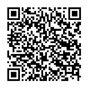 Link zu deiner Spendenaktion QRCode - Fundraising