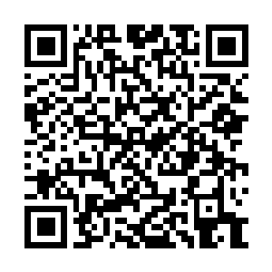 Link zu deiner Spendenaktion QRCode - Fundraising