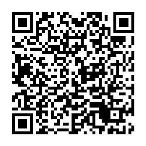 Link zu deiner Spendenaktion QRCode - Fundraising