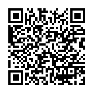 Link zu deiner Spendenaktion QRCode - Fundraising
