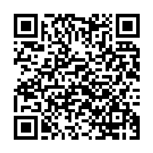 Link zu deiner Spendenaktion QRCode - Fundraising