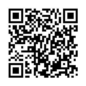 Link zu deiner Spendenaktion QRCode - Fundraising