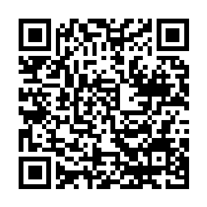 Link zu deiner Spendenaktion QRCode - Fundraising